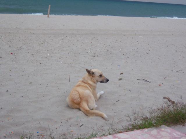 Name:  100_3133.jpg
Views: 269
Size:  31.7 KB
