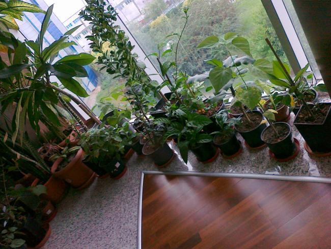 Name:  111020111599.jpg
Views: 1051
Size:  67.9 KB