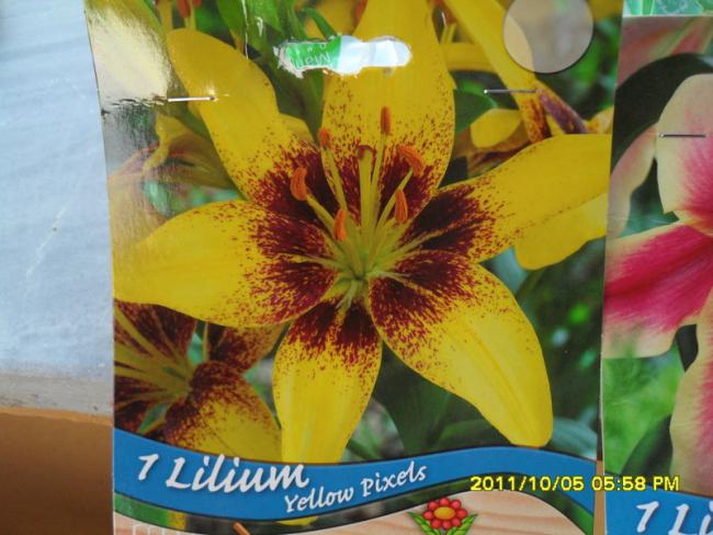 Name:  016.jpg
Views: 713
Size:  49.6 KB