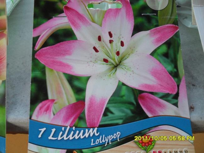 Name:  018.jpg
Views: 690
Size:  45.2 KB