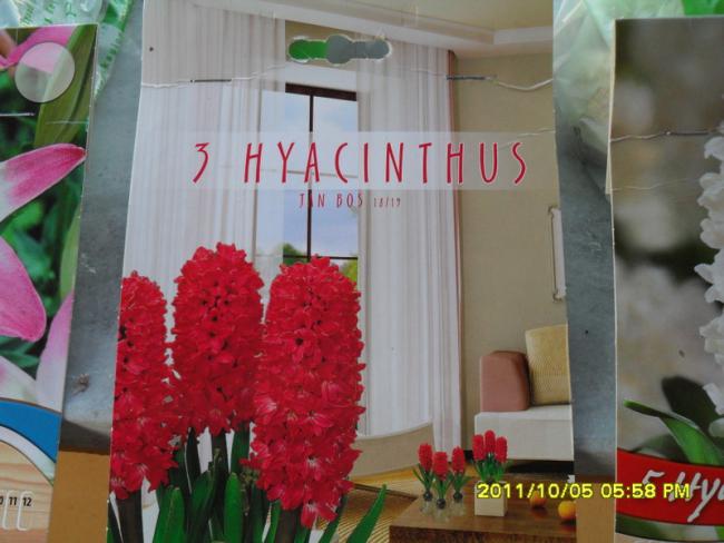 Name:  019.jpg
Views: 662
Size:  42.9 KB