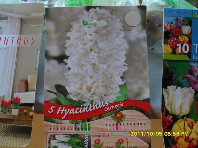 Name:  020.jpg
Views: 674
Size:  49.1 KB