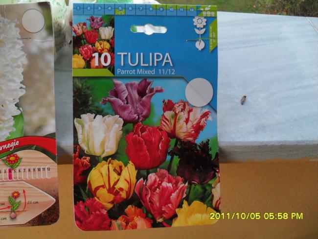 Name:  021.jpg
Views: 681
Size:  47.3 KB