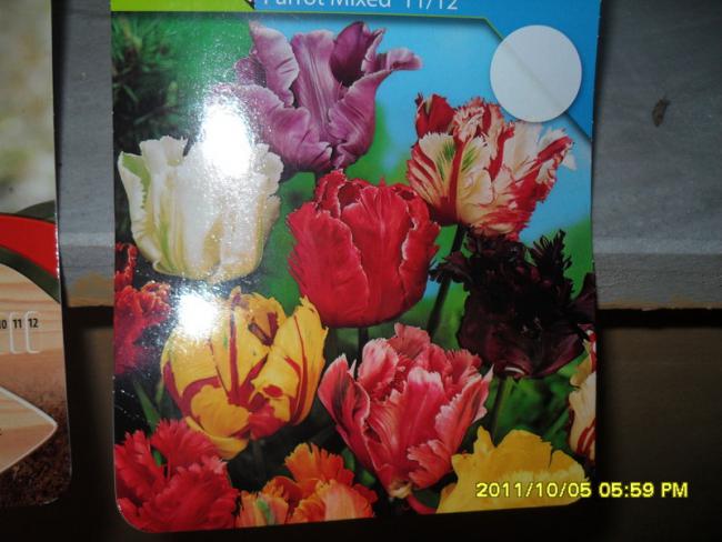Name:  022.jpg
Views: 690
Size:  46.4 KB