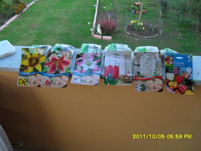 Name:  026.jpg
Views: 721
Size:  41.5 KB