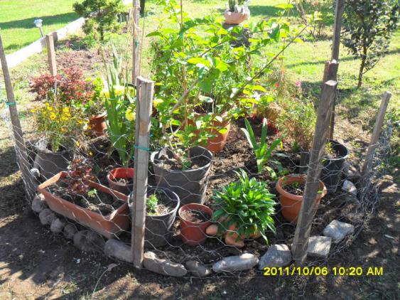 Name:  003.jpg
Views: 726
Size:  72.8 KB