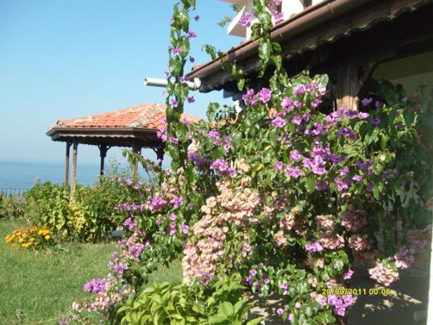 Name:  S6300370.jpg
Views: 556
Size:  70.9 KB