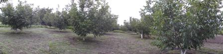 Name:  DSCF1258.jpg
Views: 1272
Size:  38.5 KB