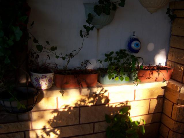 Name:  100_3220.jpg
Views: 546
Size:  34.8 KB