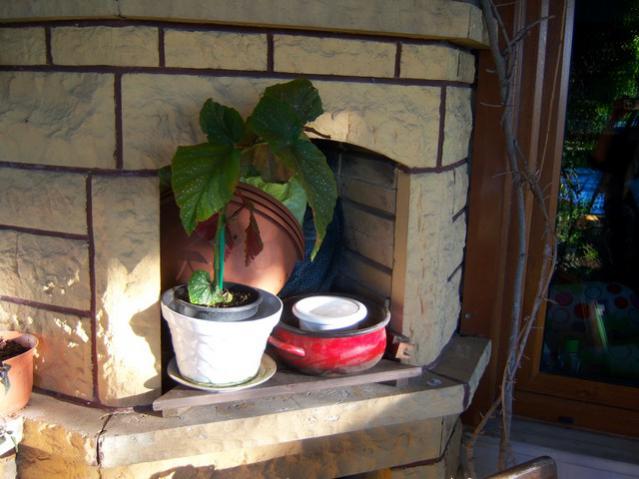 Name:  100_3221.jpg
Views: 304
Size:  44.2 KB