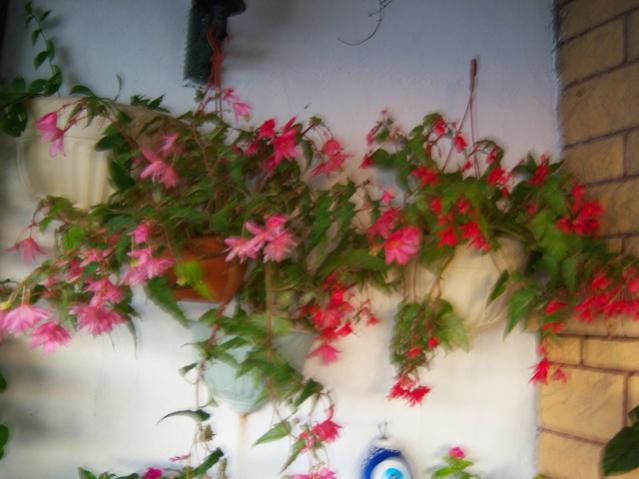 Name:  100_3224.jpg
Views: 320
Size:  39.5 KB