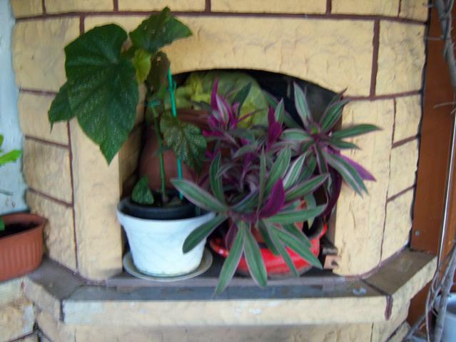 Name:  100_3226.jpg
Views: 337
Size:  42.1 KB