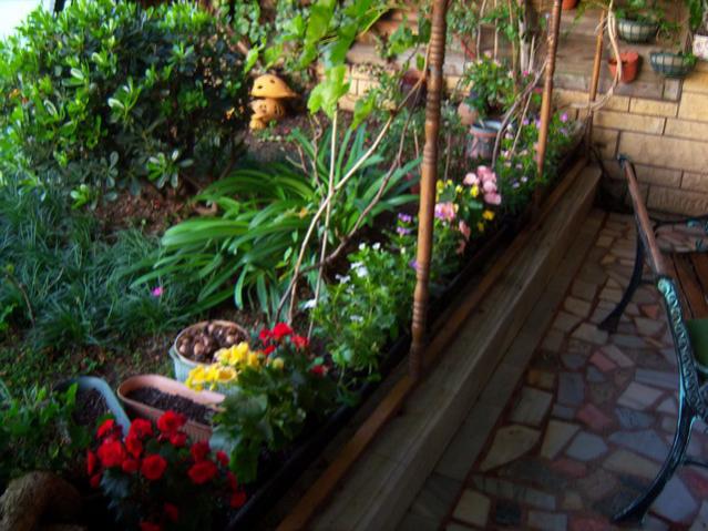 Name:  100_3228.jpg
Views: 321
Size:  57.7 KB