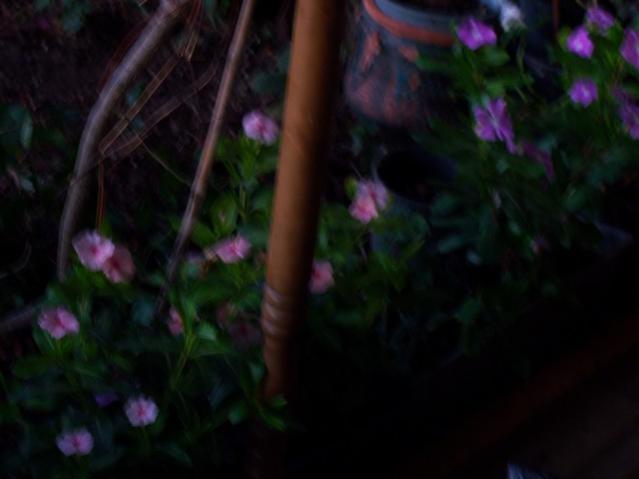 Name:  100_3230.jpg
Views: 310
Size:  24.9 KB