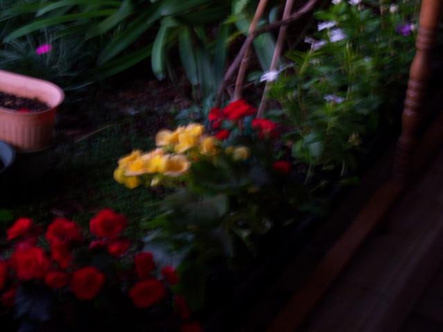 Name:  100_3231.jpg
Views: 316
Size:  27.3 KB