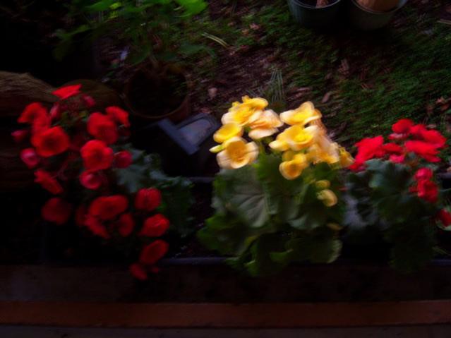Name:  100_3232.jpg
Views: 412
Size:  31.2 KB