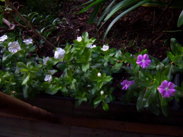 Name:  100_3234.jpg
Views: 416
Size:  42.9 KB