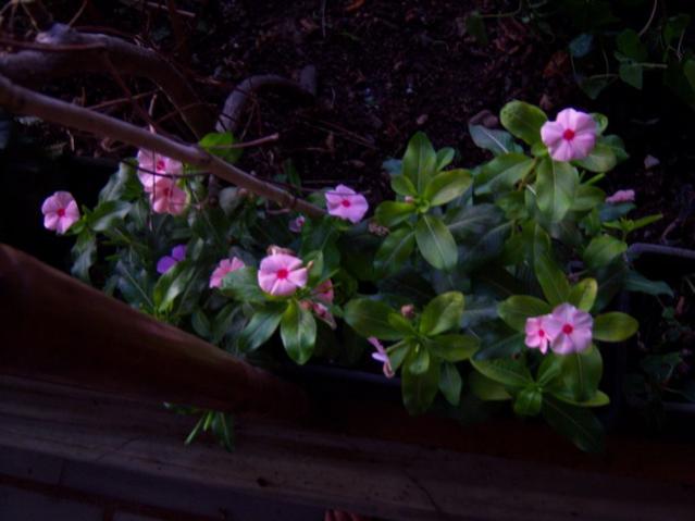 Name:  100_3235.jpg
Views: 397
Size:  33.5 KB