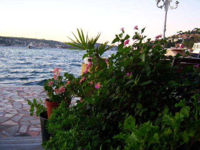 Name:  100_3239.jpg
Views: 352
Size:  47.2 KB