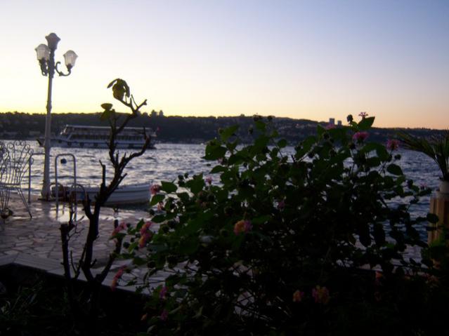 Name:  100_3240.jpg
Views: 309
Size:  36.5 KB