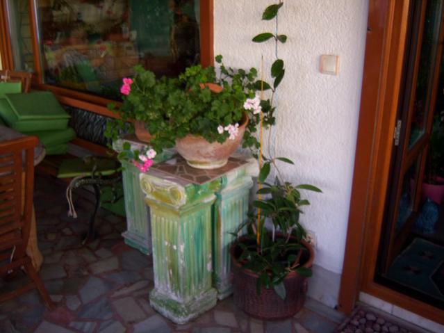 Name:  100_3244.jpg
Views: 326
Size:  39.7 KB