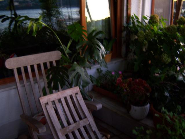 Name:  100_3245.jpg
Views: 293
Size:  35.8 KB