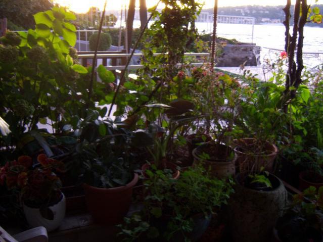 Name:  100_3246.jpg
Views: 308
Size:  49.0 KB