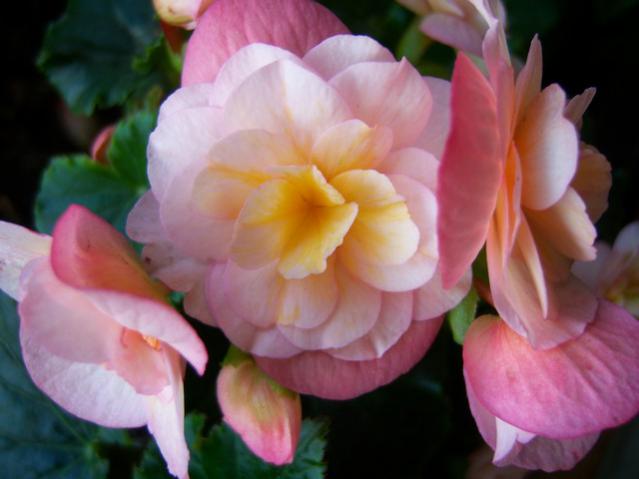 Name:  100_3254.jpg
Views: 315
Size:  31.9 KB