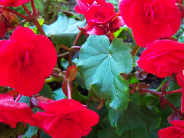 Name:  100_3256.jpg
Views: 326
Size:  39.7 KB