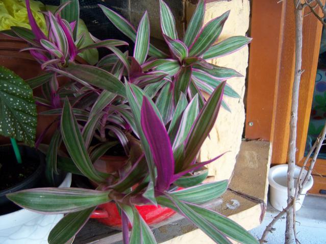 Name:  100_3257.jpg
Views: 307
Size:  54.4 KB