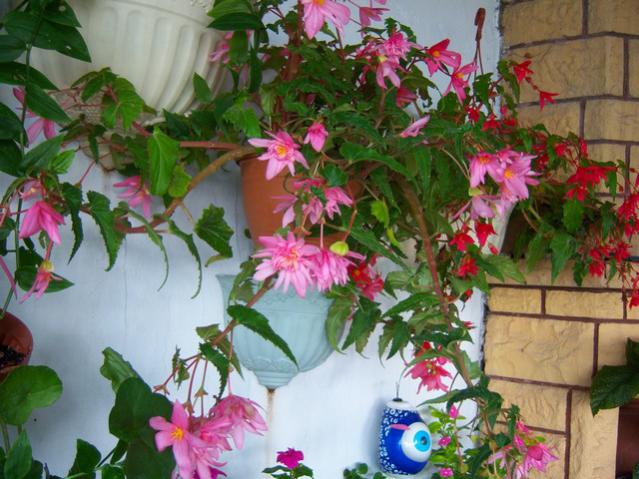 Name:  100_3259.jpg
Views: 351
Size:  58.9 KB