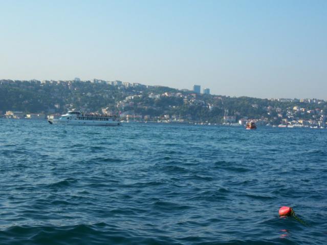 Name:  100_3266.jpg
Views: 332
Size:  38.3 KB