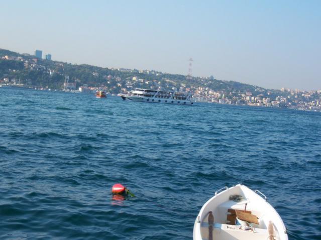Name:  100_3267.jpg
Views: 313
Size:  42.6 KB