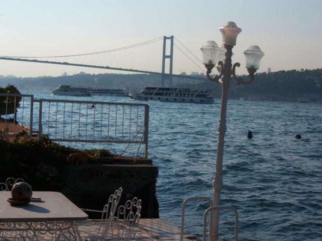Name:  100_3270.jpg
Views: 451
Size:  43.4 KB