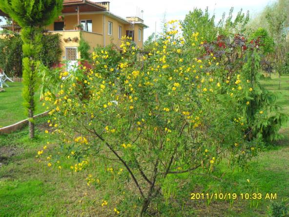 Name:  029.jpg
Views: 790
Size:  71.2 KB