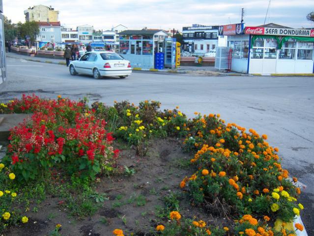 Name:  100_3306.jpg
Views: 320
Size:  64.2 KB