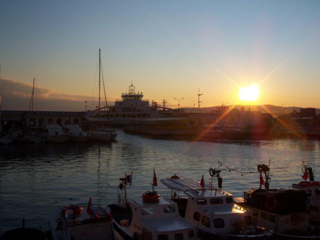 Name:  100_3310.jpg
Views: 302
Size:  29.1 KB