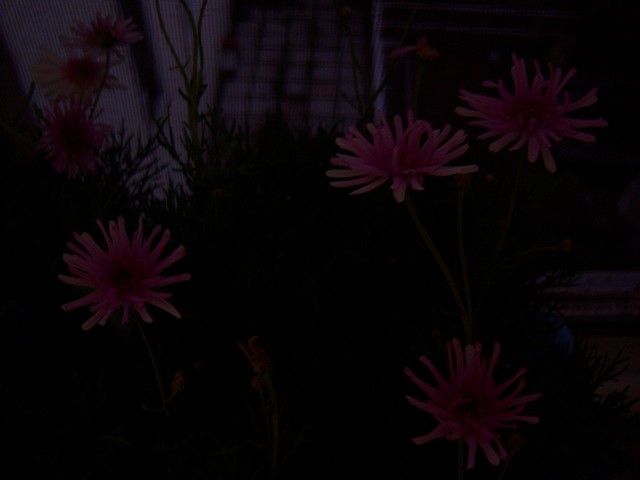 Name:  100_3324.jpg
Views: 336
Size:  58.4 KB