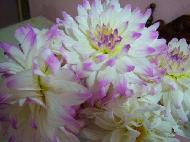 Name:  100_3326.jpg
Views: 306
Size:  35.3 KB