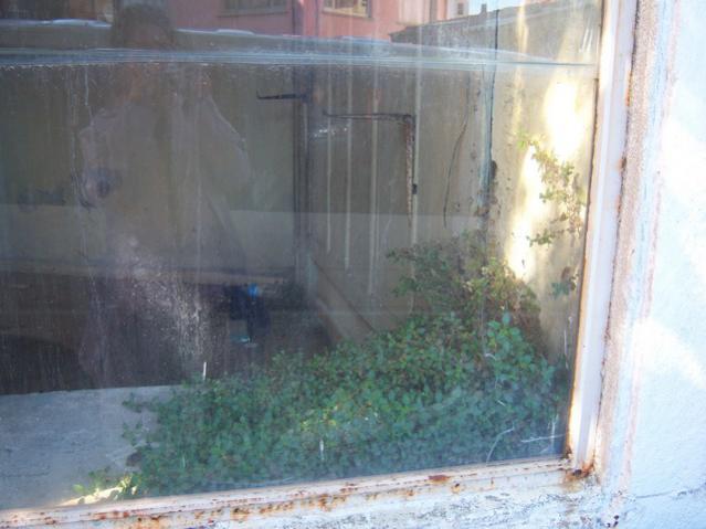 Name:  100_3327.jpg
Views: 291
Size:  39.3 KB