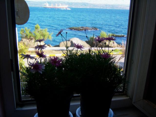 Name:  100_3342.jpg
Views: 283
Size:  40.6 KB
