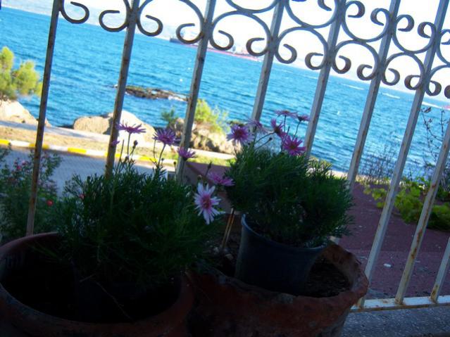 Name:  100_3345.jpg
Views: 304
Size:  54.0 KB