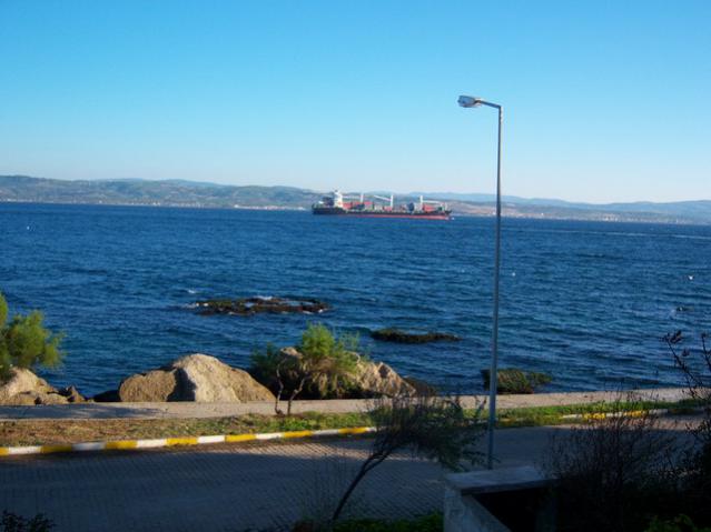 Name:  100_3346.jpg
Views: 303
Size:  38.0 KB