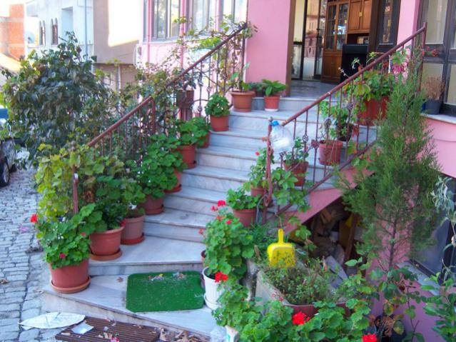 Name:  100_3348.jpg
Views: 314
Size:  68.2 KB