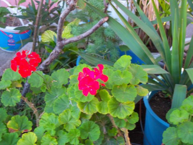 Name:  100_3349.jpg
Views: 288
Size:  50.8 KB