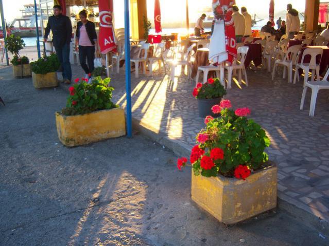 Name:  100_3351.jpg
Views: 304
Size:  57.6 KB