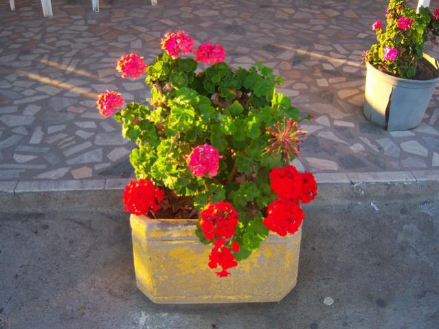 Name:  100_3352.jpg
Views: 365
Size:  52.4 KB