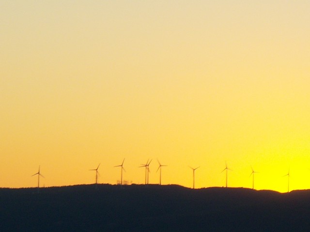 Name:  100_3360.jpg
Views: 381
Size:  52.5 KB