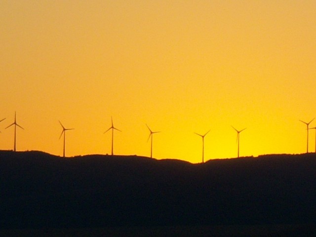 Name:  100_3361.jpg
Views: 364
Size:  63.6 KB