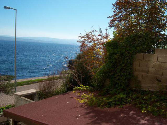 Name:  100_3378.jpg
Views: 379
Size:  50.9 KB
